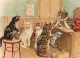 cat jury