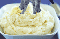 Oh no Cold Mashed Potatoes!