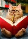 cat reader