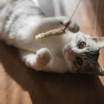 Writing that Works or Writing that Needs Work?